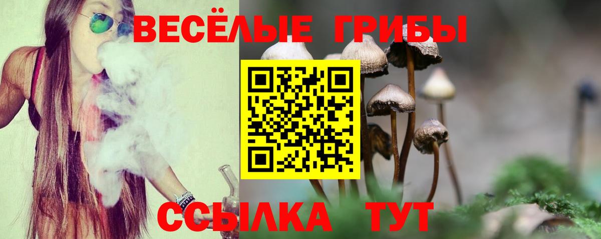 Среднеуральск  Псилоцибиновые грибы мицелий  Вход с VPN  Галлюциногенные грибы GOLDEN TEACHER 